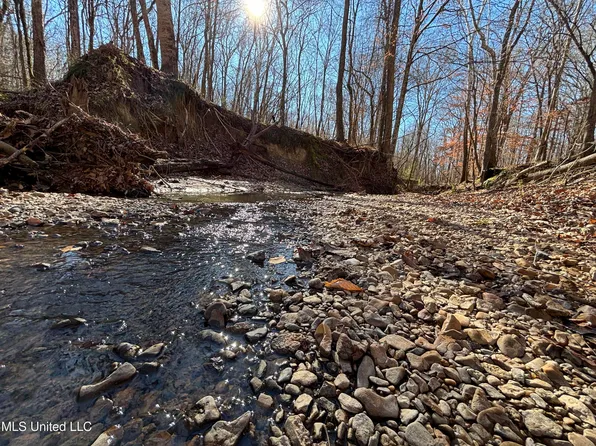 2822 Stevens Rd, Yazoo City, MS 39194