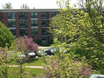 2nd image of 1280 Village Dr APT 403