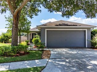 21018 Follensby Ct, Land O Lakes, FL 34637