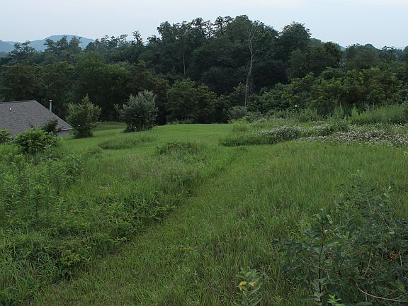 View from N. Corner of Lot