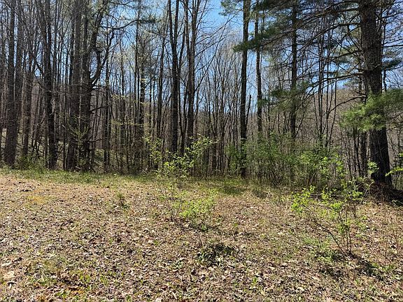 5th image of Morris Branch Rd