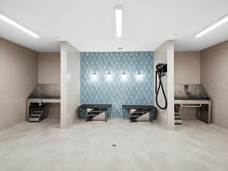 Pet Spa