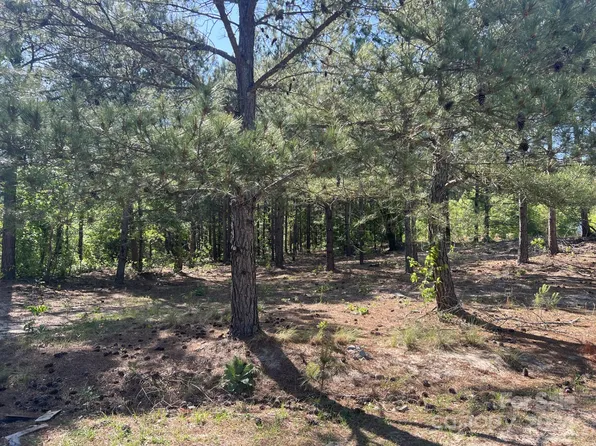 0 Westridge Lane Tract #8, Candor, NC 27229
