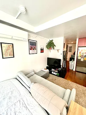 Rented by Pear NYC LLC | media 31