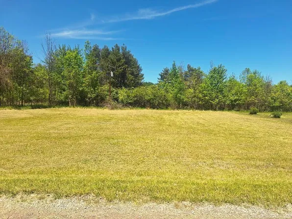 LOT 7 Avalon Cir, Lexington, MI 48450