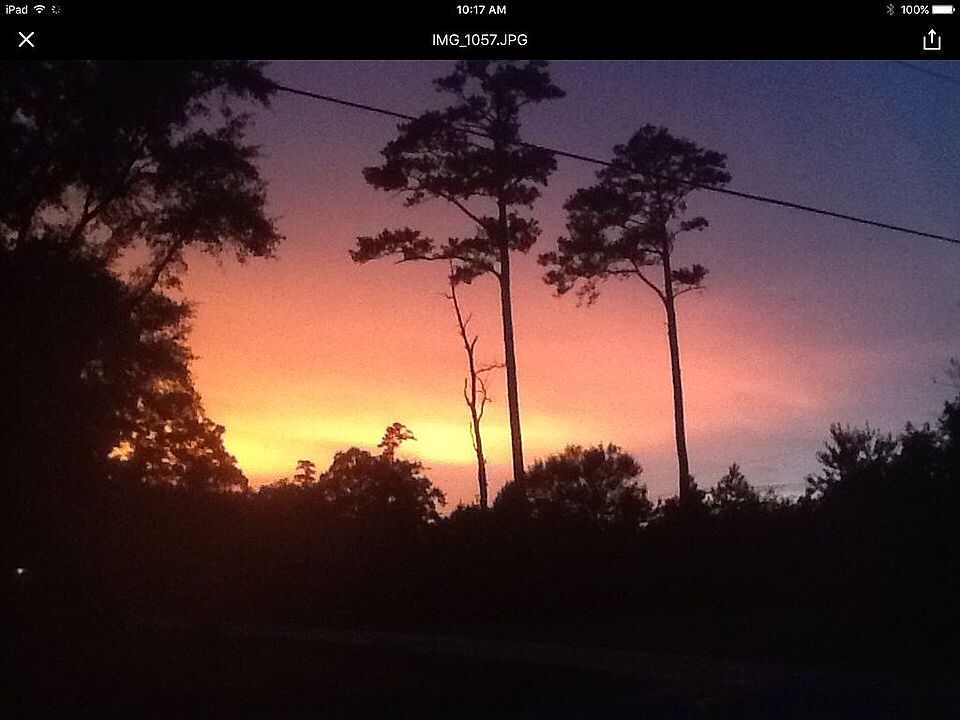 Paradise in your Yard