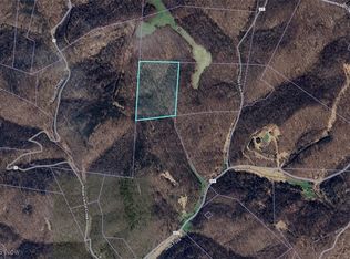 1203 Slab Fork Rd, Grantsville, WV 26147