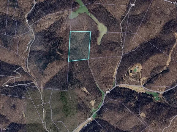 1203 Slab Fork Rd, Grantsville, WV 26147
