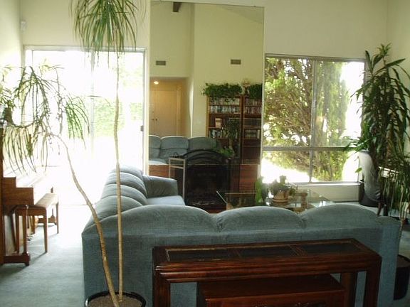 Lots of Windows for Natural Light & Fireplace