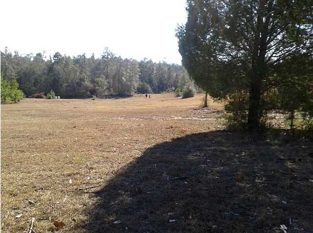 2nd image of 9885 Gulfcrest Rd