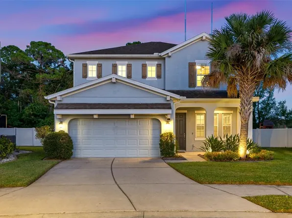 8119 CHAMPIONS FOREST WAY, TAMPA, FL 33635