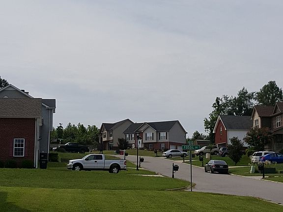 The neighborhood