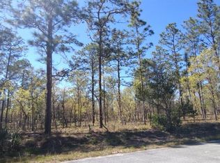 43 NW Narcissus Rd LOT 43, Dunnellon, FL 34431