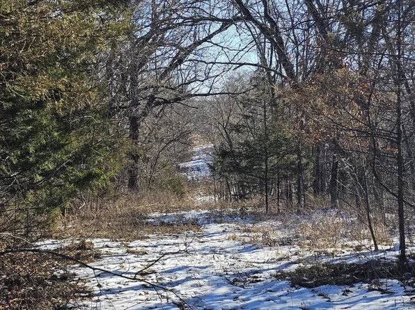 65 Fairfield Lane, Buffalo, MO 65622