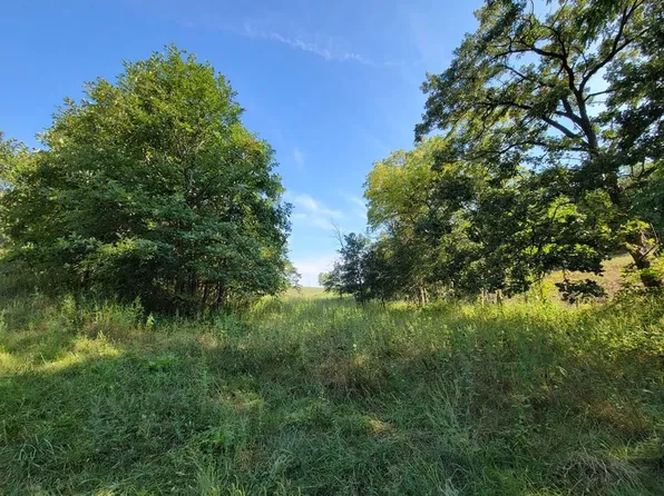 Xx Hwy #149, Green Castle, MO 63544