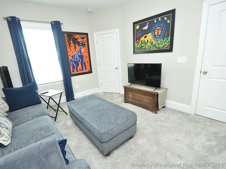 1004 Pyrenees Way — Photo 27