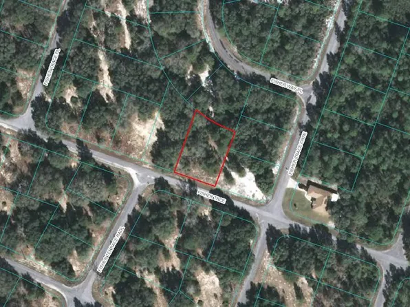 0 Fisher Trce #1, Ocklawaha, FL 32179