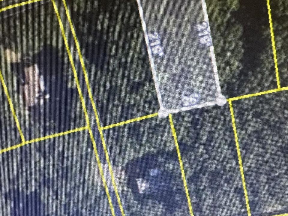 2nd image of Kii 318 Sassafras Rd