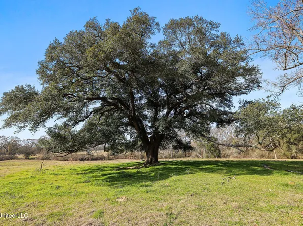 255 J P Thomas Rd, Amite, LA 70422