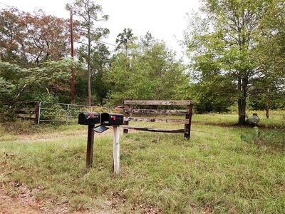 2131 Oak Ridge Rd, Willis, TX, 77378