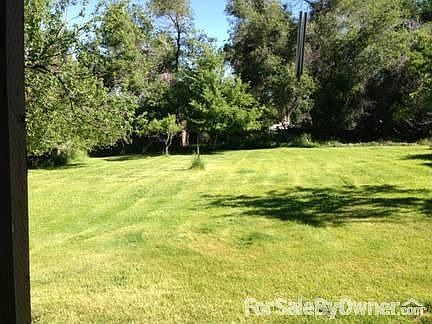 BACK YARD FROM THE BACK PORCH
						:
						THE LOT IS APPROXIMATELY 250 FEET DEEP & 91 FEET WIDE TOTAL .52 ACRES