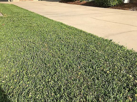 4th image of 974 Jesse Dr