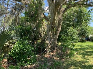 236 Pine Tree Trl, Crescent City, FL 32112