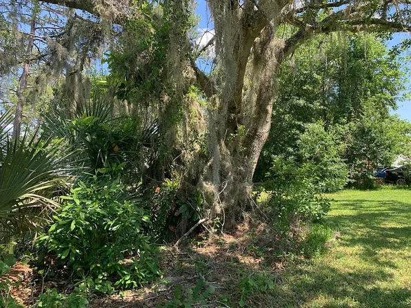 236 Pine Tree Trl, Crescent City, FL 32112