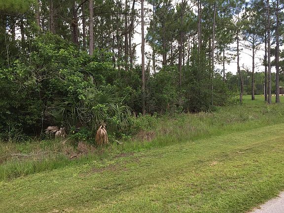 2nd image of 10 Palmetto Dr