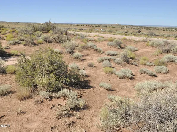 4283 White Antelope Rd, Snowflake, AZ 85937