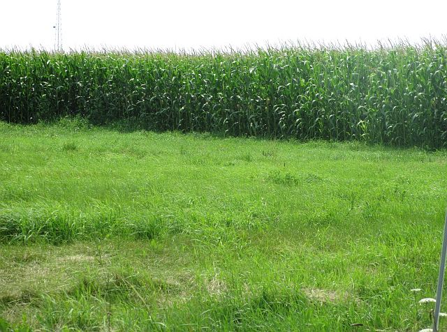 1st image of Oak Mound Acres Lot 10