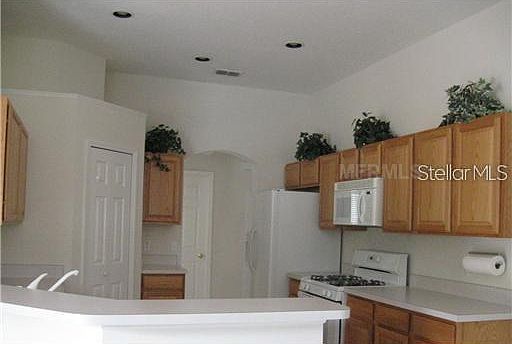 4th image of 262 Palmetto Springs St