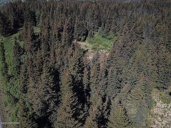3rd image of 1750 Skyline Dr