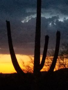 7202 E Highland Rd, Cave Creek, AZ, 85331