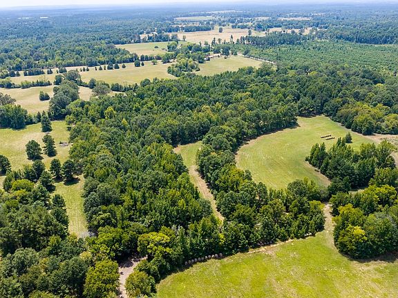 14.5 Acres Shandy Road 3