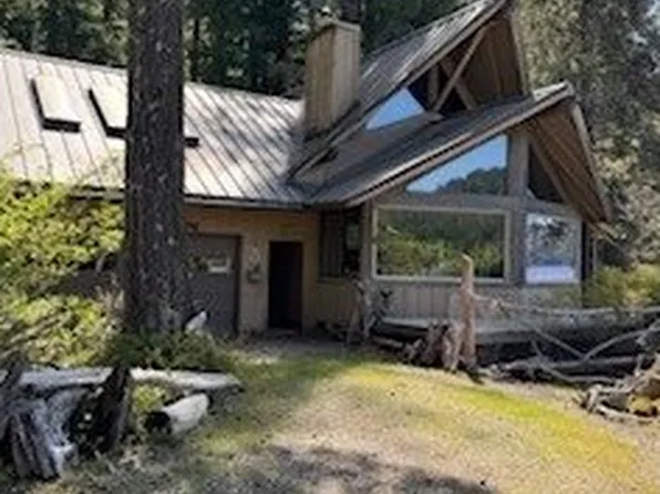 Cabin 19 Northwoods, Cougar, WA 98616