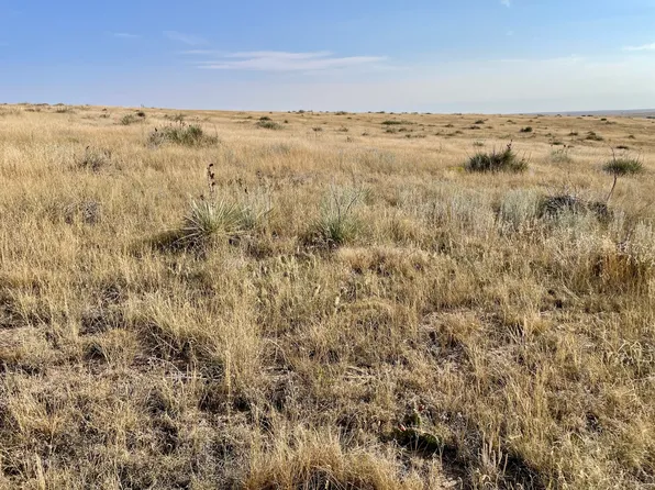 3 S County Rd #4, Deer Trail, CO 80105