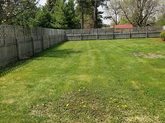 Back yard