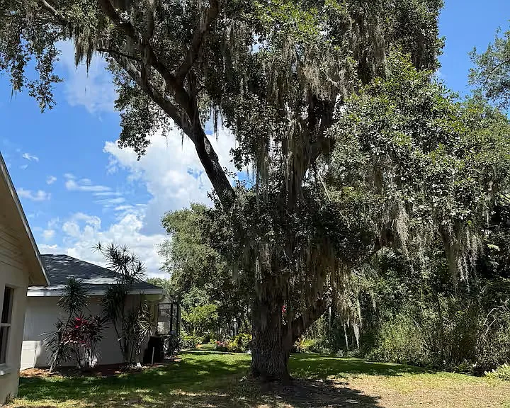 5540 Bent Oak Dr — Photo 15