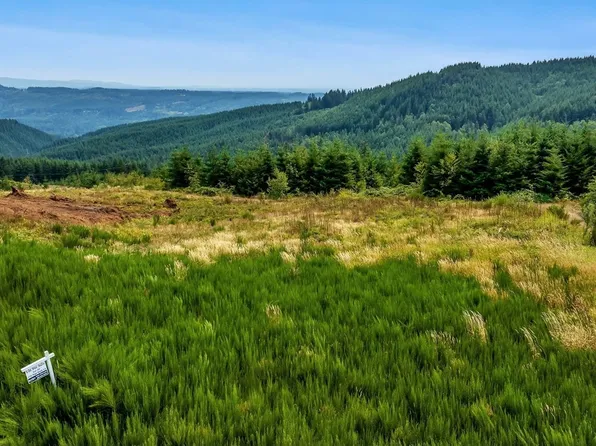 118 High Bank Lane, Woodland, WA 98674