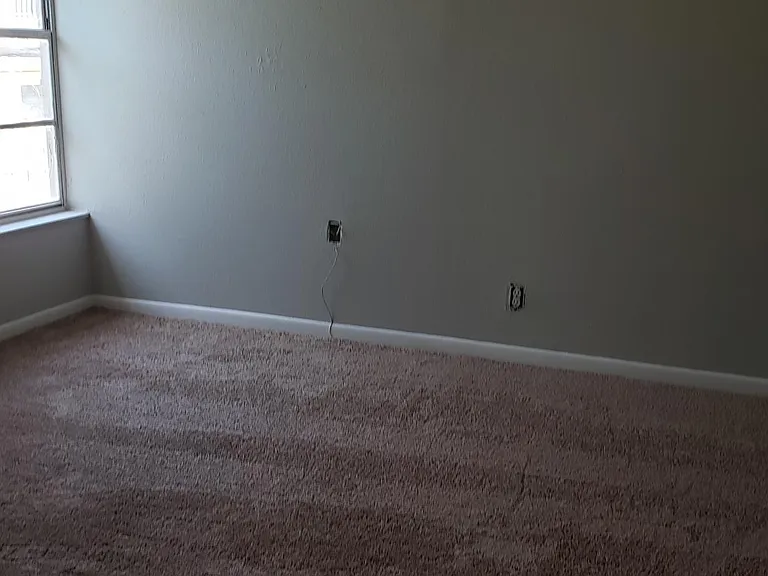 1003 Apollo Beach Blvd #202 — Photo 3
