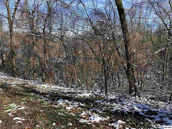 4th image of 0 Cove Mountain Ln Lot 10