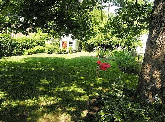 Shaded yard