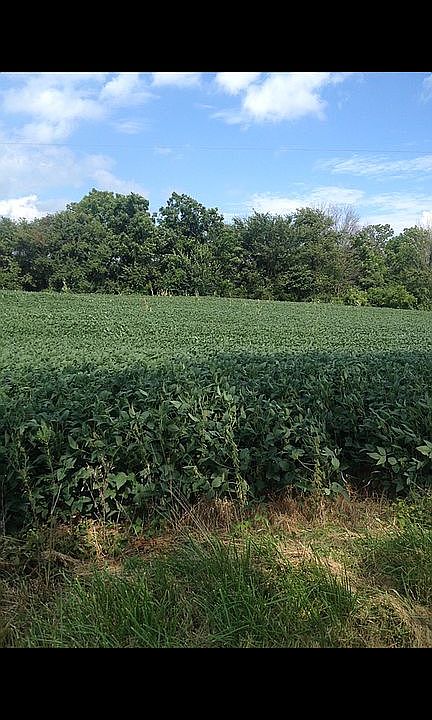 Enjoy  peace & Tranquility  