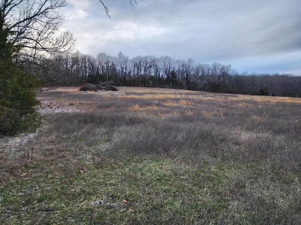 Tbd A State Road Kk, Strafford, MO 65757