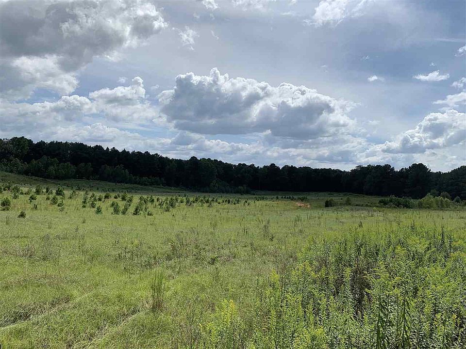 2nd image of Highway 43 S Lot 3
