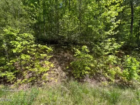 LOT 50 Yellowwood Dr, Sevierville, TN 37876