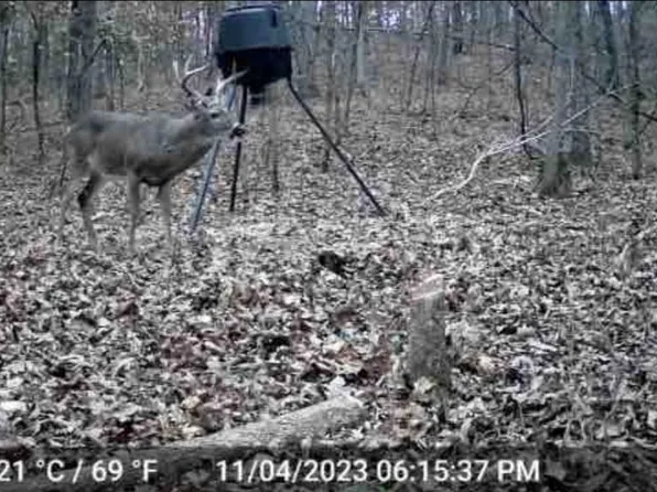 0 State Highway 60, Van Buren, MO 63965