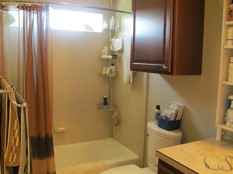 Bathroom tile tub shower