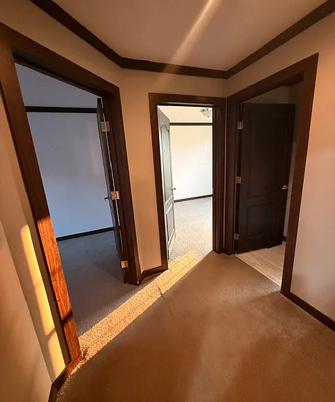 726 Cash Dollar Cove Rd — Photo 16